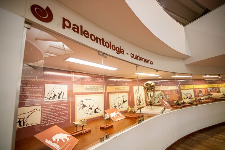 Museo de Ciencias Naturales