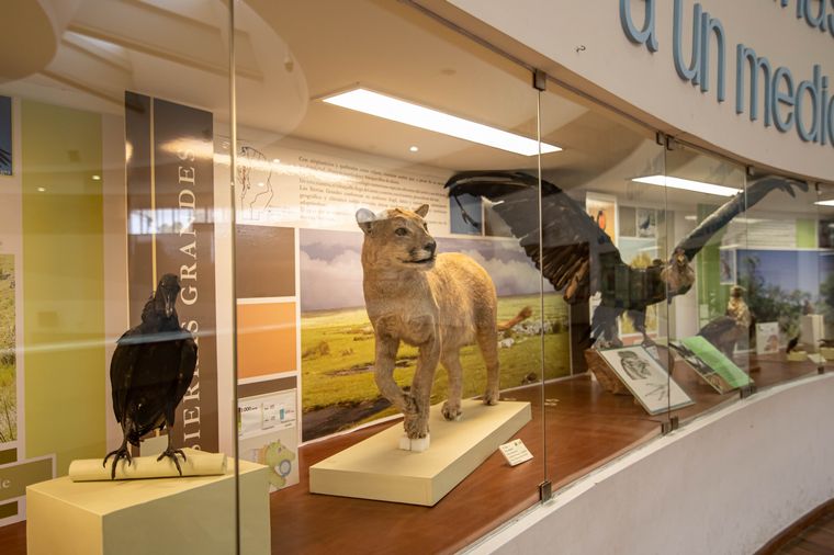 Museo de Ciencias Naturales