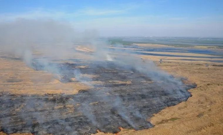 FOTO: No paran las quemas en el Delta del río Paraná y en Rosario el aire es 