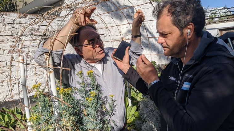 Cómo hacer una huerta en casa, paso a paso: capítulo 9