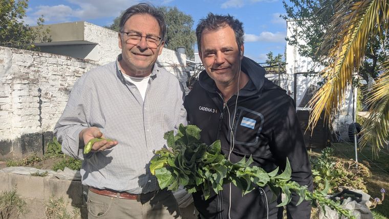 Cómo hacer una huerta en casa, paso a paso: capítulo 9