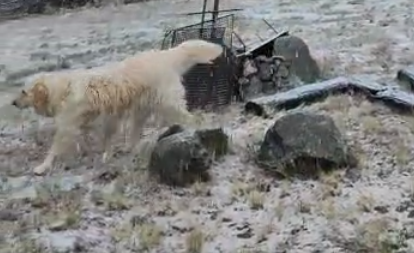 Copiosa nevada en Villa Yacanto