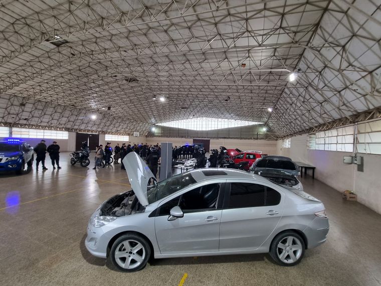 Cayó megabanda de poliladrones