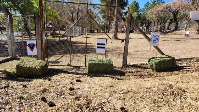 Los tres fardos de alfalfa y el pronostico del burro Andrés.