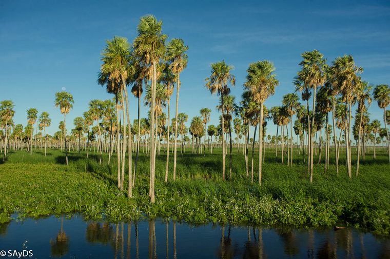 La ley de humedales, en debate