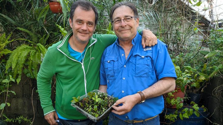 Cómo hacer una huerta en casa, paso a paso: capítulo 10