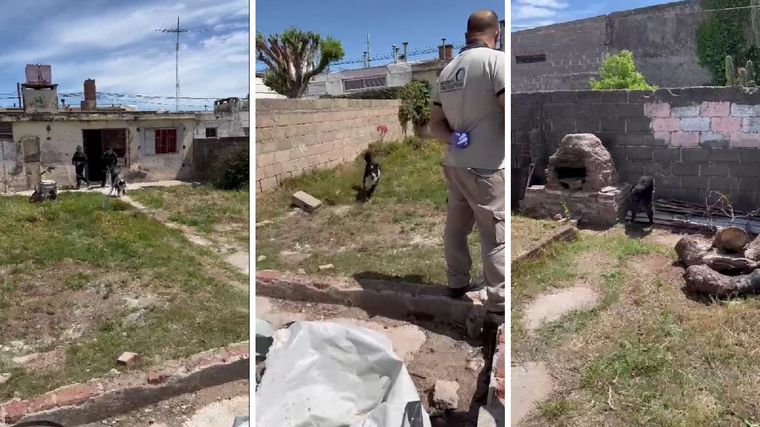 FOTO: El momento en que el perro de la Policía detecta el cadáver en Berrotarán