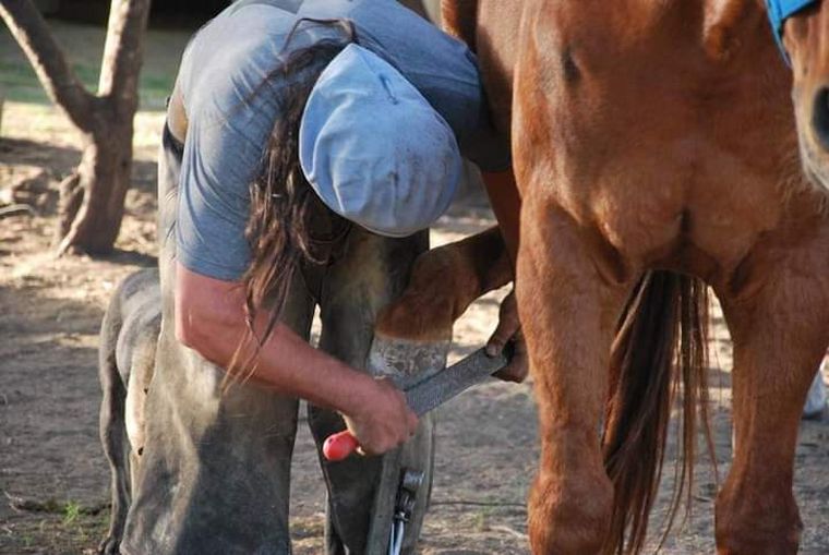 FOTO: Emiliano Monti y su pasión por los caballos y la naturaleza.