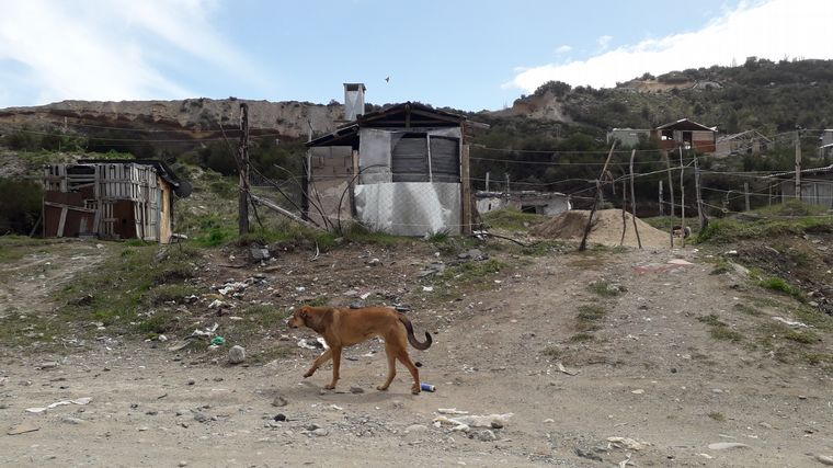 Barrios Vivero Municipal y barrio El Alto, Bariloche.
