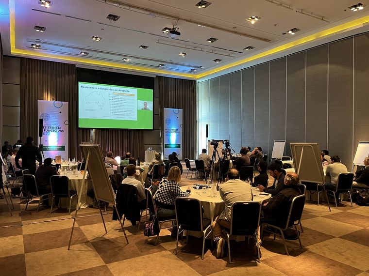 Convocatoria para especialistas analizando la temática