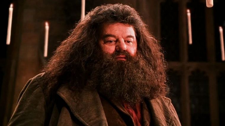 FOTO: Murió a los 72 años Robbie Coltrane, el actor que hizo de Hagrid en Harry Potter.