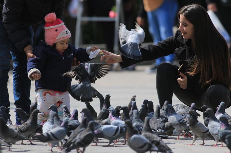 Así se vive este sábado la previa del Día de la Madre en las calles de Córdoba