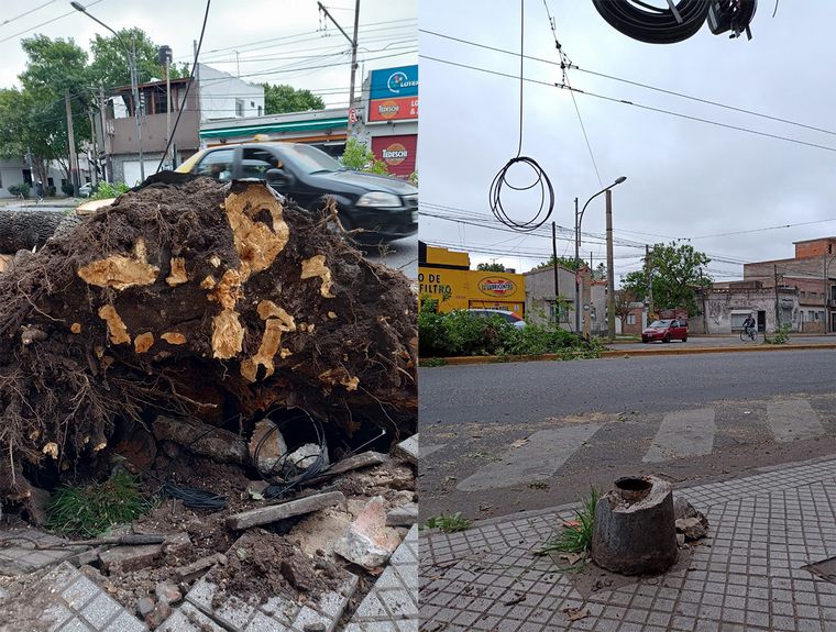 FOTO: Fuertes vientos nocturnos tumbaron un árbol y una columna en zona oeste de Rosario. 
