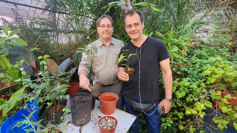 Cómo hacer una huerta en casa, paso a paso: capítulo 11