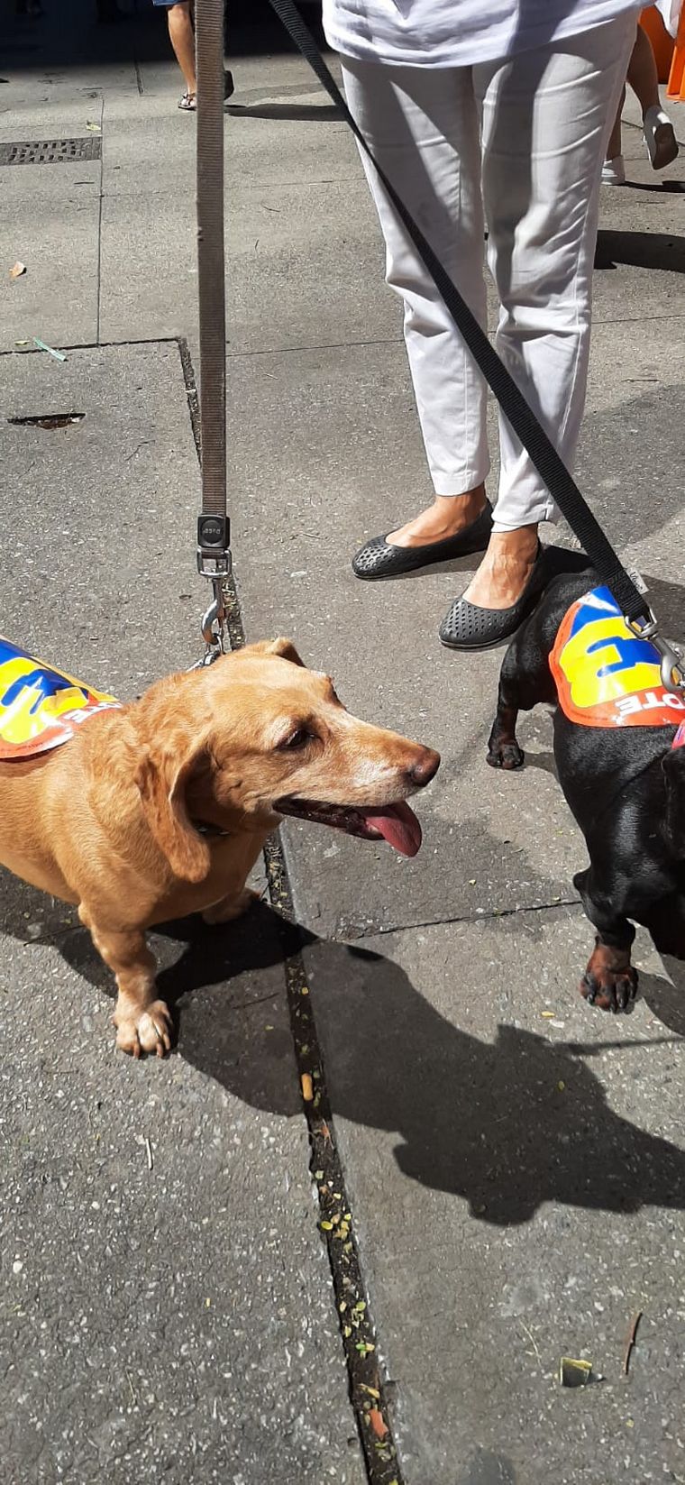 El clima electoral se vive en las calles de San Pablo.