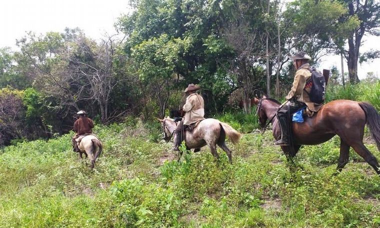 Escenografía. El monte formoseño configura un paisaje muy particular.