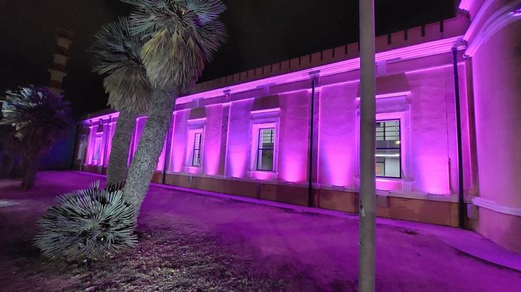 La Ciudad de las Artes luce una nueva iluminación ornamental