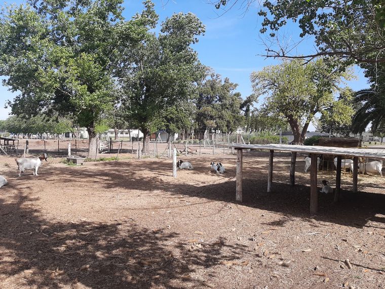 Viva la Radio conoció desde adentro el Instituto Técnico Agrario Industrial
