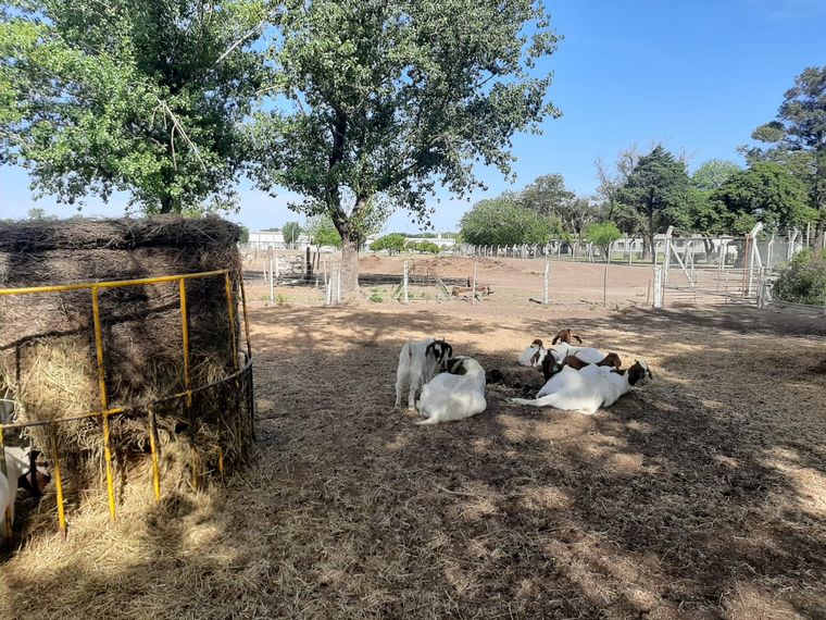 Viva la Radio conoció desde adentro el Instituto Técnico Agrario Industrial