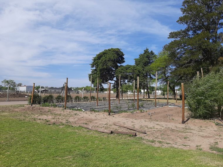 Viva la Radio conoció desde adentro el Instituto Técnico Agrario Industrial