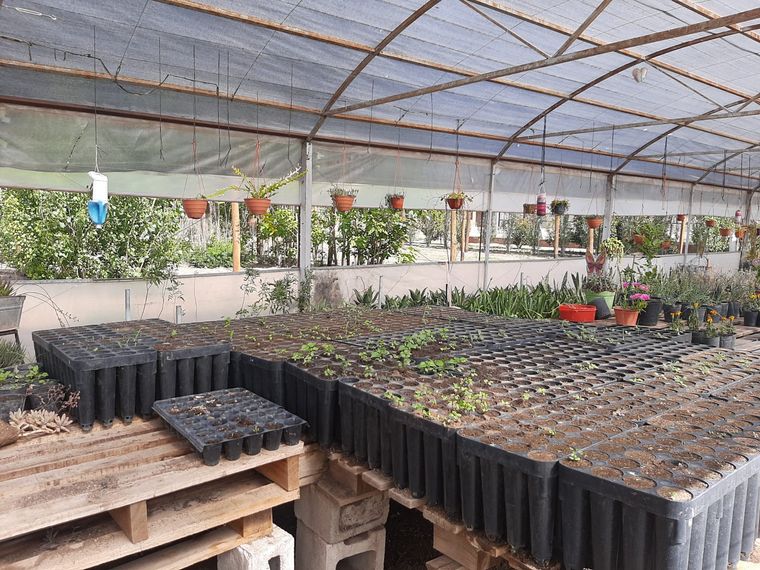 Viva la Radio conoció desde adentro el Instituto Técnico Agrario Industrial