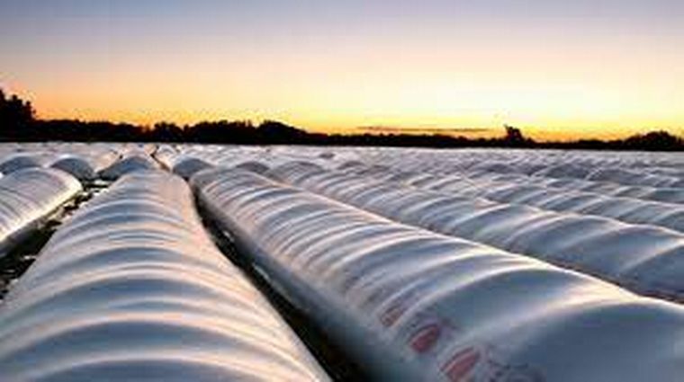 Fueron 1899 toneladas de maíz y 198 de soja.