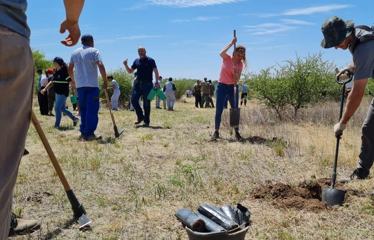 FOTO: Plantaron 3 mil quebrachos blancos en Colonia Caroya