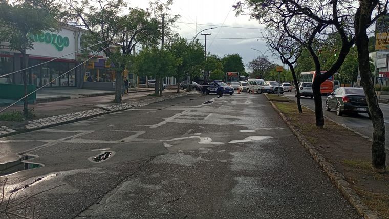 Cayó un árbol en Rafael Núñez tras las fuertes tormentas de la madrugada