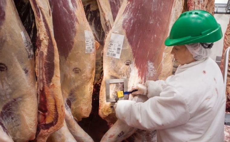 FOTO: Argentina volverá a exportar carne a México tras ocho años de negociaciones. (NA)