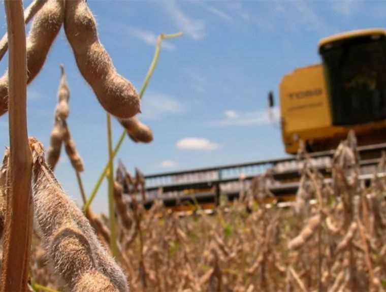 Estudian prorrogar la emergencia agropecuaria en la provincia de Santa Fe. 