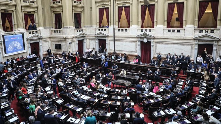Diputados designó los cuatro miembros del Consejo de la Magistratura (Foto: Telam)