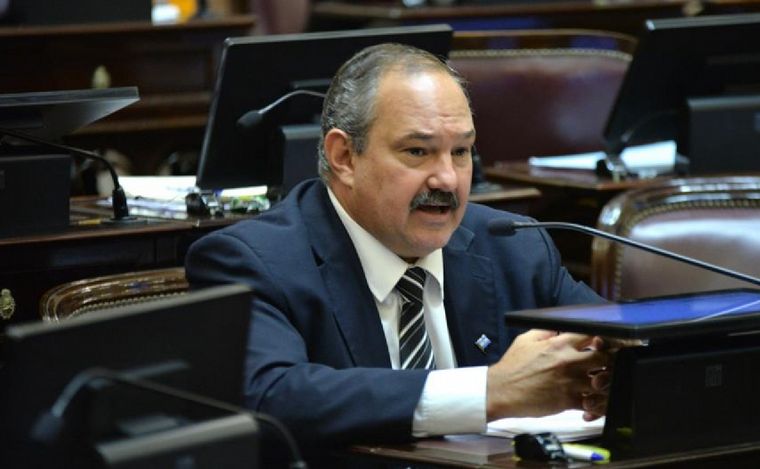 Desmienten que un senador salteño haya viajado al Mundial de Qatar. (Foto: Twitter)