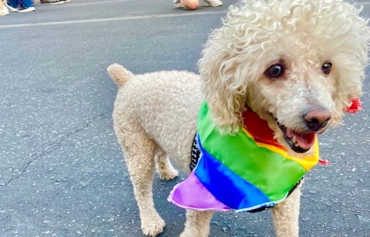 Diversidad en la Marcha del Orgullo en Córdoba