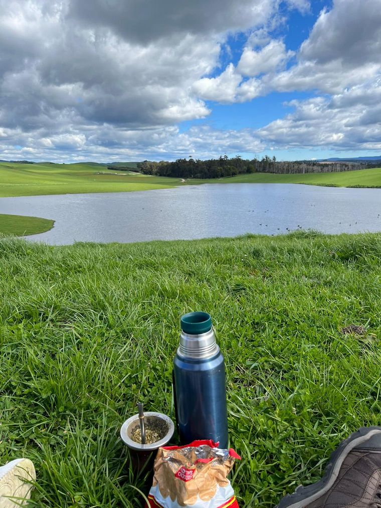 Dos jóvenes profesionales argentinos trabajan en granjas lecheras de Tasmania