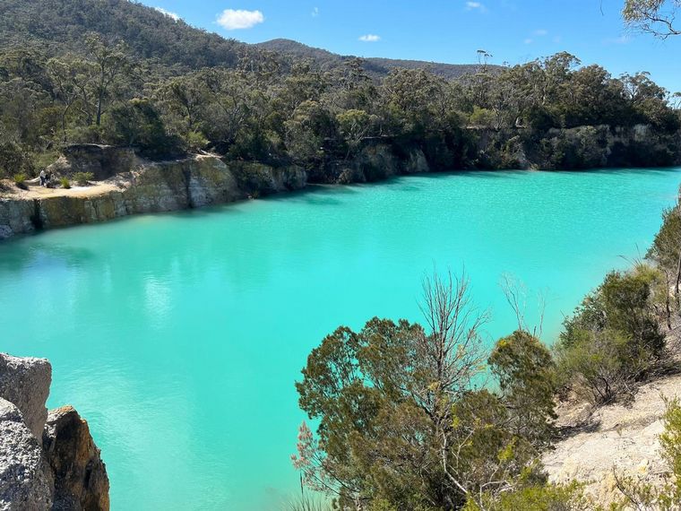 Dos jóvenes profesionales argentinos trabajan en granjas lecheras de Tasmania