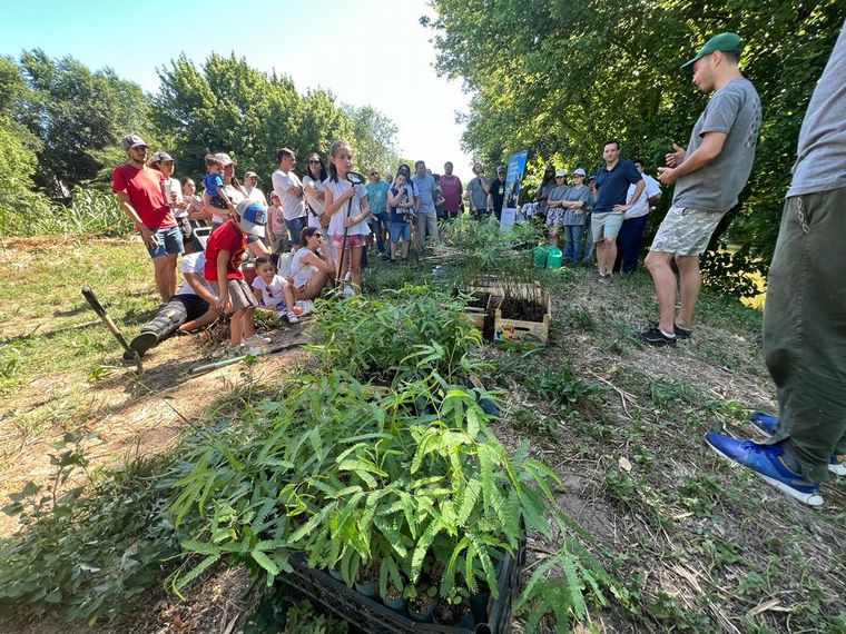Cadena 3 y Baum ya plantaron más de 3.000 árboles. (Foto: archivo)