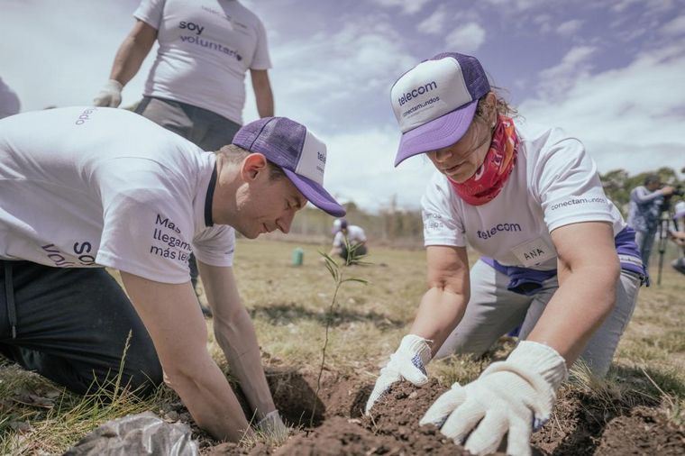Telecom se sumó a la campaña de reforestar Córdoba junto a Baum.
