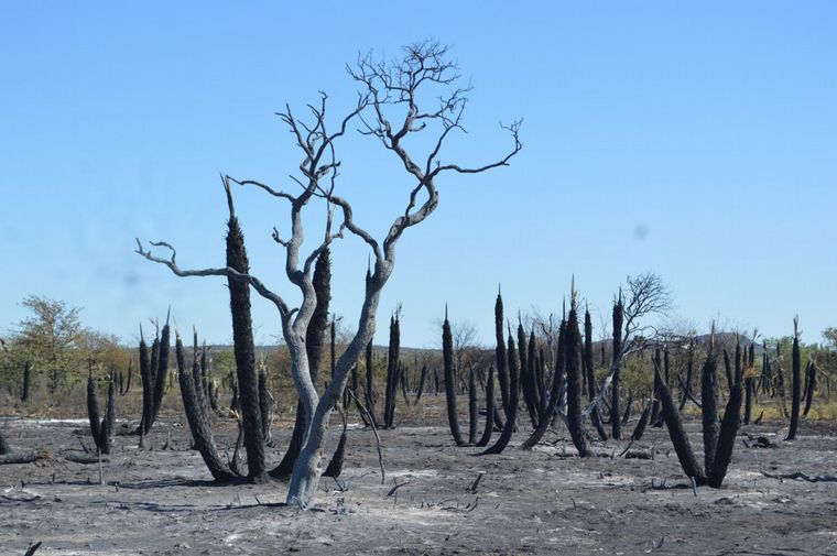 FOTO: Tierra arrasada. Los productores reclaman cambios en la ley de manejo del fuego.