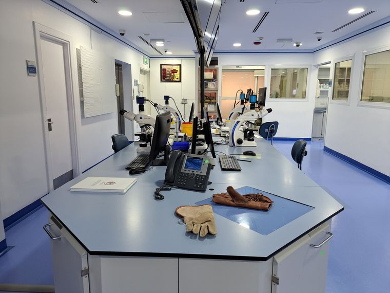 Un hospital de alta complejidad para halcones