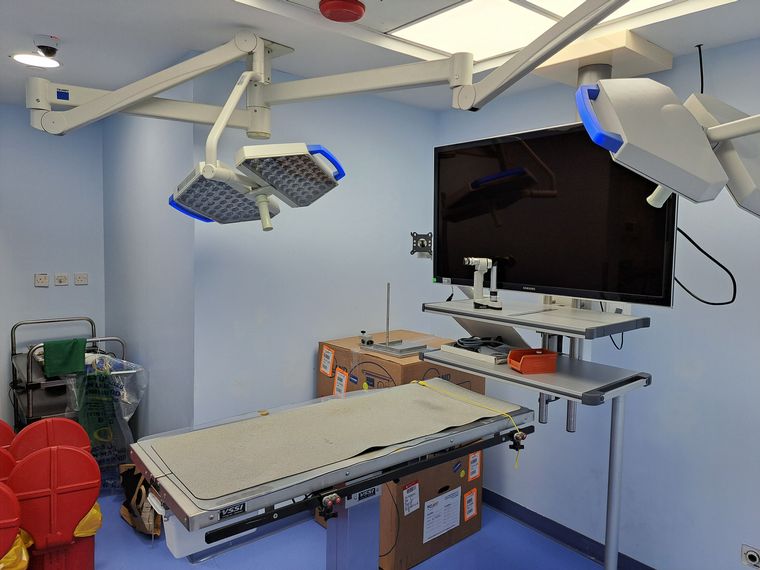 Un hospital de alta complejidad para halcones