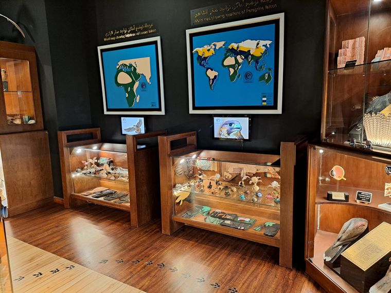 Un hospital de alta complejidad para halcones