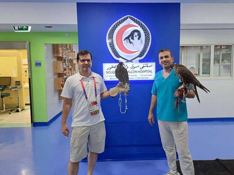 Un hospital de alta complejidad para halcones
