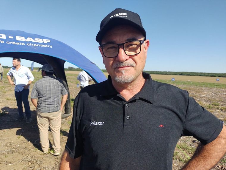 Volver a la agronomía. Ulla reconoció la importancia del manejo integrado.