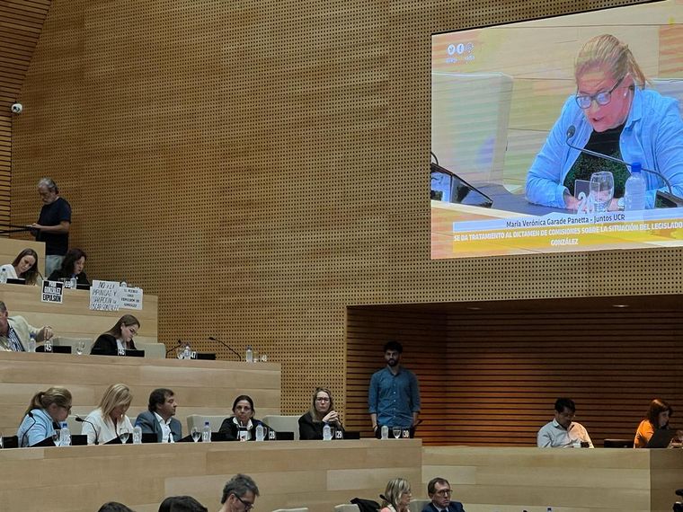 La Unicameral de Córdoba apartó a Oscar González.