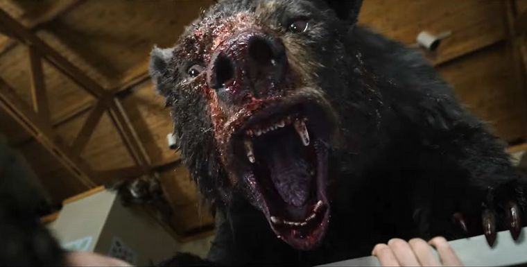FOTO: Llegó el tráiler de la película sobre un oso que consumió cocaína y atacó gente.