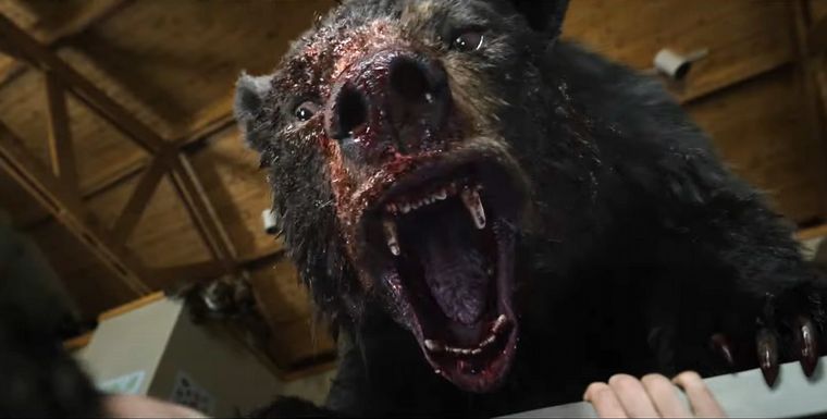 Llegó el tráiler de la película sobre un oso que consumió cocaína y atacó gente.
