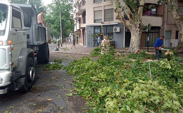 AUDIO: Rosario: vecinos de Fisherton y el reclamo por la caída de árboles tras el temporal.