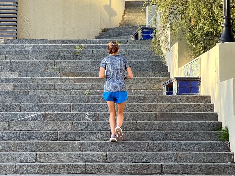 Coniferal Parque Sarmiento