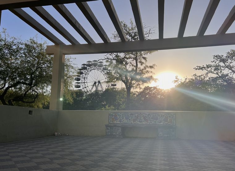 Coniferal Parque Sarmiento