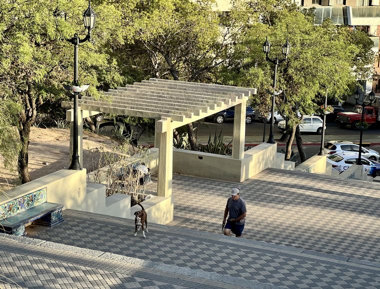 Coniferal Parque Sarmiento